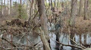 ОХОТА НА УТКУ В КОМИ. МАЙ 2023.