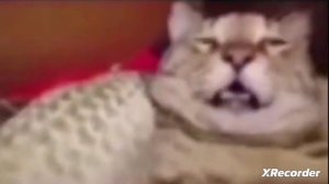 критическое повреждения двигателя мем