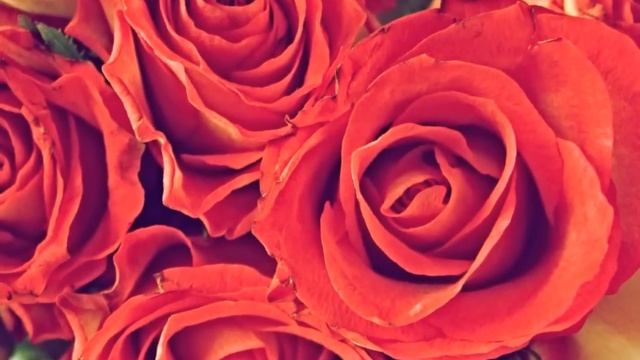 В день рожденья свой.... смотреть онлайн