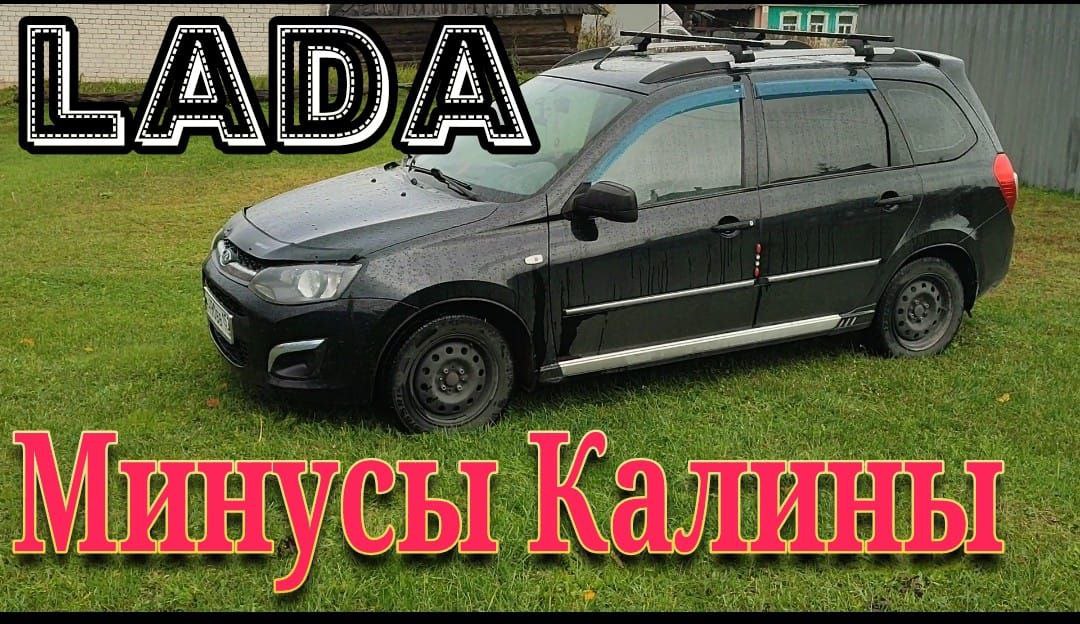 Калина минус