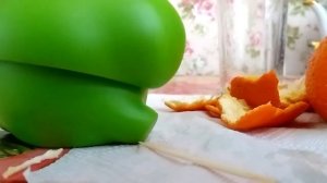 Как сделать мандариновый сок