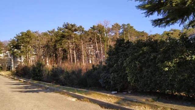 #хорватия новые граждане Их 12 получили гражданство. Все больше приезжающих, рабочие тоже нужны смотреть онлайн