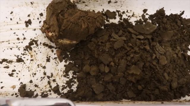 Купили рубец. смотреть онлайн