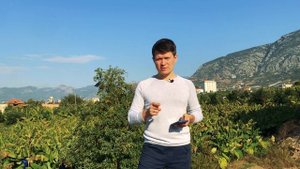 ✅ ВСЯ ПРАВДА ПРО РАЗРЕШЕНИЕ НА РАБОТУ В НОРВЕГИИ. На каком сайте искать работу? | Новые требования