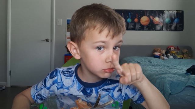 Моё первое видео про моих домашних мокриц. смотреть онлайн