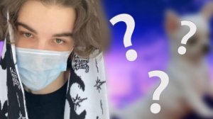 SKYWHYWALKER ПРО СОБАКУ ?