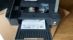 Epson Stylus TX 117