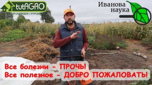ОПРЫСКАЙТЕ ПОЧВУ ОСЕНЬЮ ЭТИМ СРЕДСТВОМ и ИЗБАВЬТЕСЬ ОТ БОЛЕЗНЕЙ! Без купороса, и марганцовки.