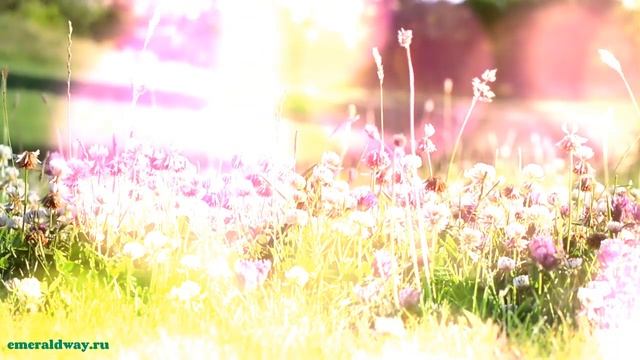 Аффирмации Как использовать и повторять аффирмации смотреть онлайн