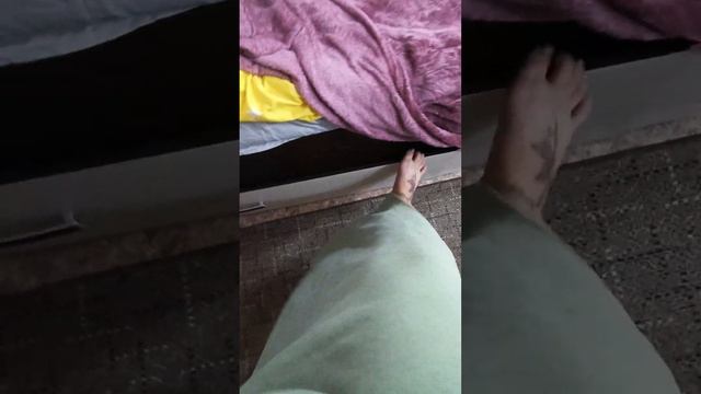 #ямыилюша #помощьбездомнымживотным #raccoon #анапа #reels смотреть онлайн