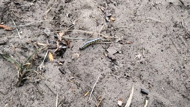 Рыбалка 2019 Обводной канал КВХ спиннинг Fishing смотреть онлайн