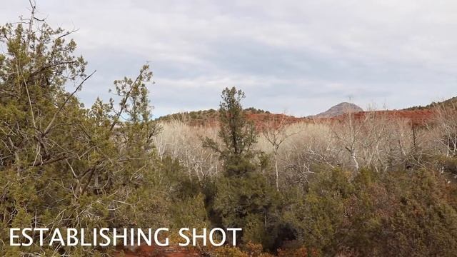 GIT 315- Assignment 2 (Practice) смотреть онлайн