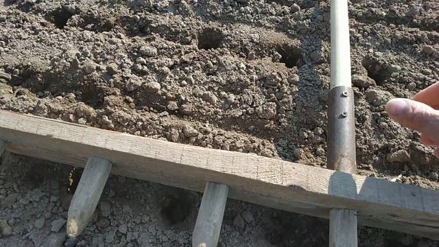 Простая  сажалка чеснока и лука.