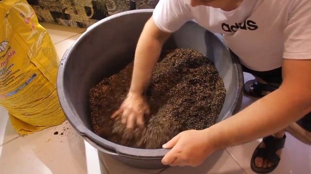 СпатифиллУм (СЕНСАЦИЯ) пересадка