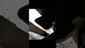 Пневмоподвеска на Валдай за 16000р своими руками