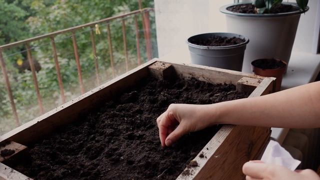 1 ДЕНЬ ИЗ ЖИЗНИ ВЕГЕТАРИАНЦА / РЕЦЕПТЫ / ПЛЮСЫ И МИНУСЫ / ВЕГЕТАРИАНСТВО