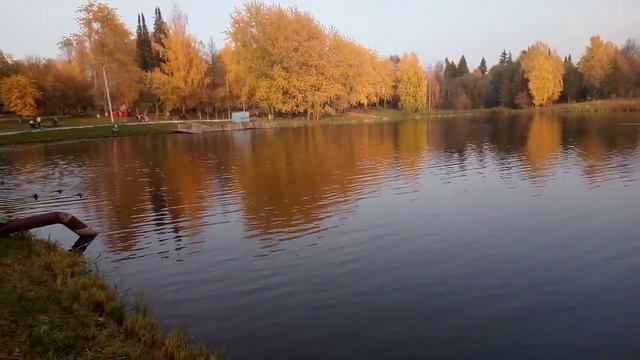 Красота осени