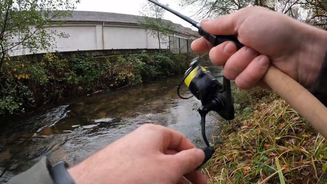 Рыбалка на горных реках 3часть, 😉накосил ФОРЕЛИ!#fishing #рыбалка2023 #troutfishing