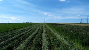 Самодельная роторная косилка из бензопилы урал - Любые скорости покорны..DIY rotary mower...