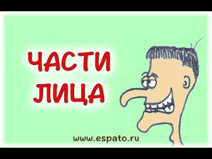 Испанский язык  Урок 12 Части тела - partes del cuerpo №2 - части лица (www.espato.ru)