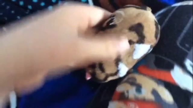 Proof, Zhu Zhu Pets With Kung Zhu Sounds Work With The Tablet Of Zhu! смотреть онлайн