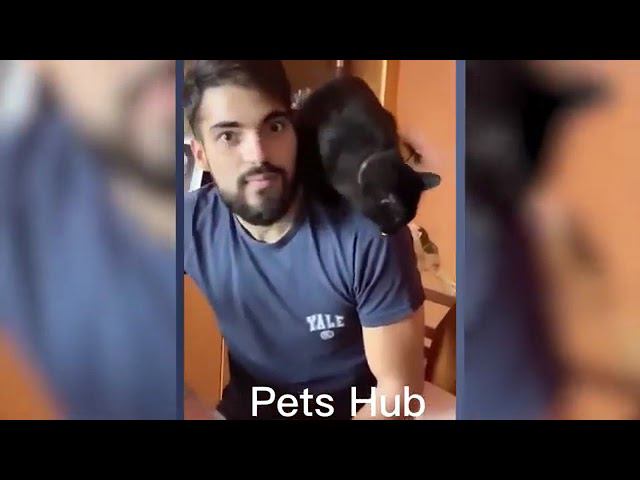 приколы Тик ТокЛУЧШИЕ ПРИКОЛЫ 2024 | ПРИКОЛЫ ДЛЯ ВЗРОСЛЫХ | ПРИКОЛЫ | ПРИКОЛЫ  | ТИК ТОК #Humor-tim