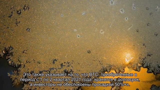 Статистика: число держащих биткоинов в долгосрок инвесторов достигло максимума смотреть онлайн