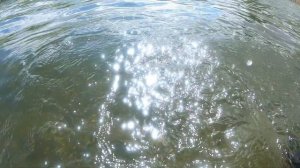 Подводный мир озера Талкас. Рыбалка и ловля раков.