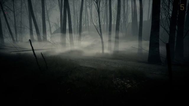 Dead Forest -ЛЕСНИК В ТУМАНЕ . смотреть онлайн