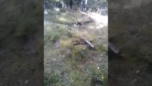 Сельский блогер. Полигон. Часть 2.