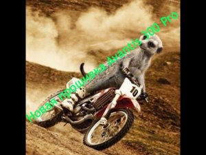 Первые впечатления от новой прошивки Avantis 300 pro