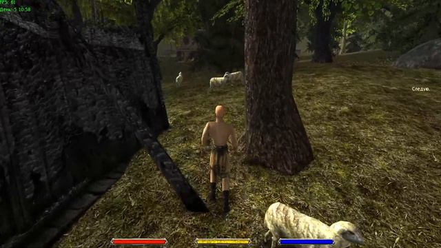 Готика 2: В 2.0 - AB КС с сохранениями ( 150\ 200\ 150 ) \ СнК Лучник смотреть онлайн