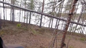 ТАЁЖНЫЙ БАЛАГАН. НАШЁЛ УБЕЖИЩЕ В ТАЙГЕ. ЧТО БЫЛО В ЛЕСНОМ БАЛАГАНЕ.