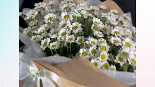 Крафт-пакет с кустовой хризантемой Сантини (ромашка малая) смотреть онлайн