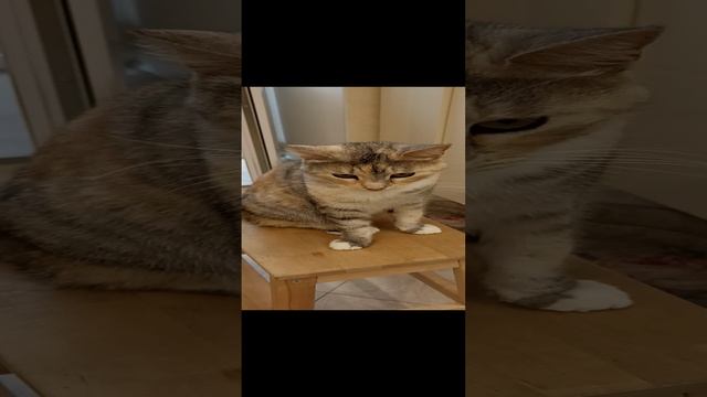 Разговор по душам