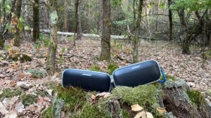 Bose Soundlink Flex Stereo Sound Test Max volume ????