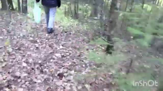 сходили за грибами и шишками/собрали мяту возле берега. смотреть онлайн