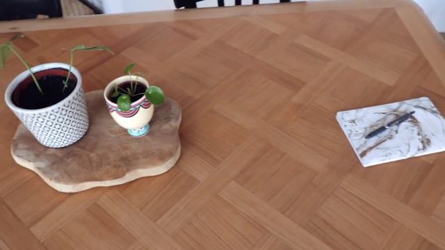 [PLANT TOUR] - Ma collection de 44 plantes смотреть онлайн