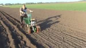 сажаем картошку кротом