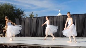 Winter from Vivaldi's Four Seasons Dance