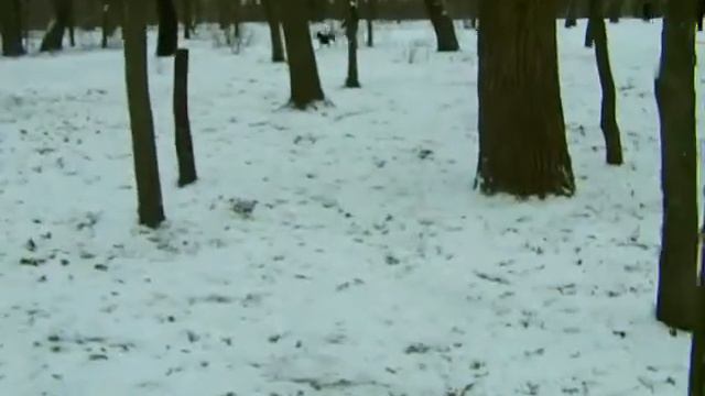 Зевс - молния! смотреть онлайн