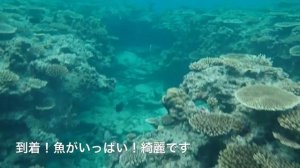 SUBLUE Seabow で水中散歩