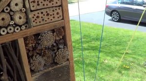 Как сделать домик для насекомых