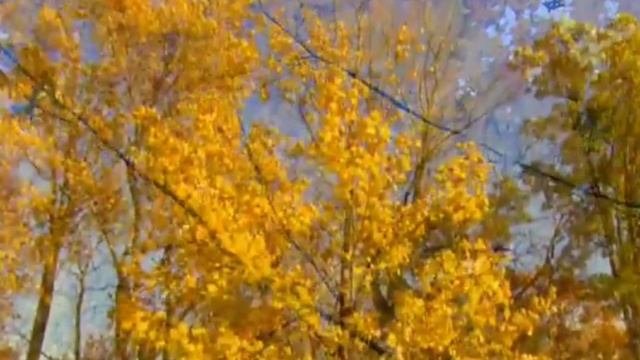 Астрологический прогноз для Водолеев на март 2023 года