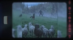 В Джунглях Амазонки Обнаружено Одно из Самых Редких Животных