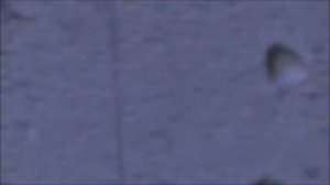 Плитка электрическая со спиралью