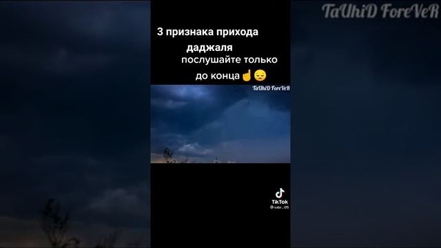 мамедкала 2021 смотреть онлайн