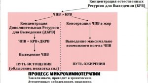 Принципиальная схема работы генетики