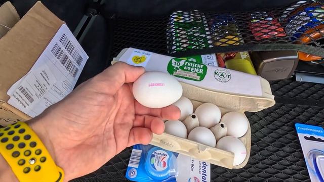 Влог, впервые увидел как она откладывает, постоянно ем, как быть смотреть онлайн