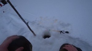 Рыбалка 2020. Ловлю хариуса зимой.